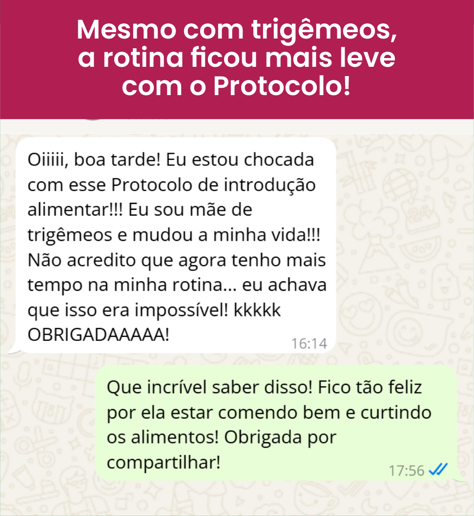 IMG-PROTOCOLO-DA-INTRDODUCAO-ALIMENTAR-37.png